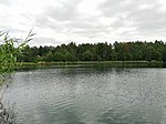 Möhlauer See