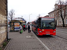 Żywiec: Położenie, Warunki naturalne, Przyroda