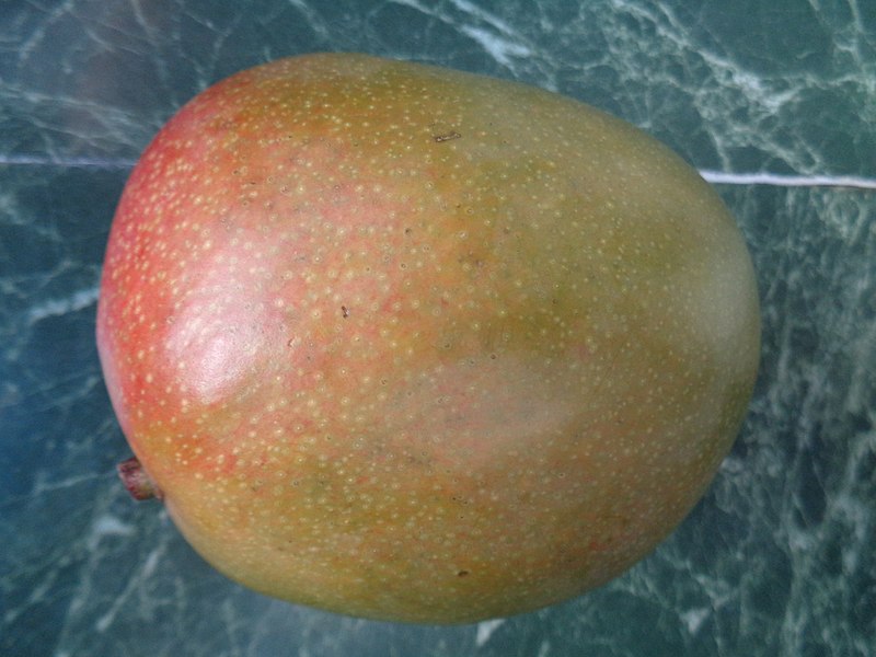 File:Mango na zelenom pultu.JPG