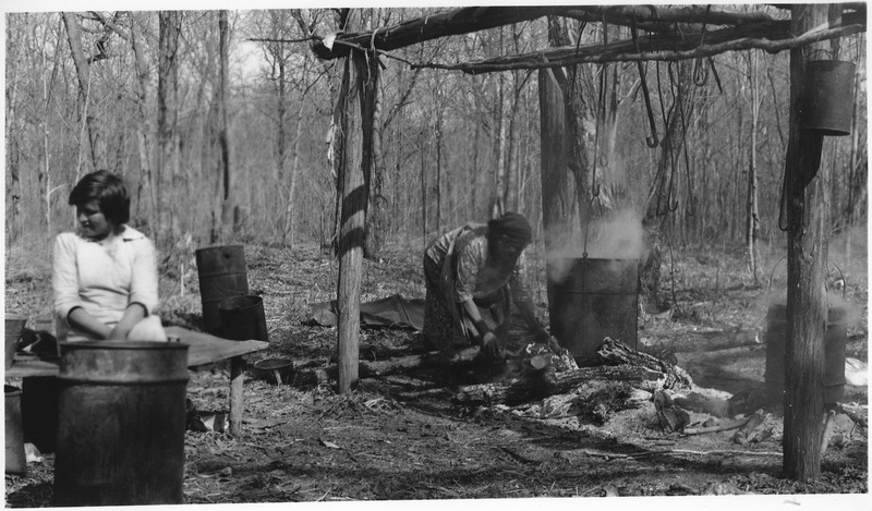 File:Maple sugar industry - NARA - 285762.tif