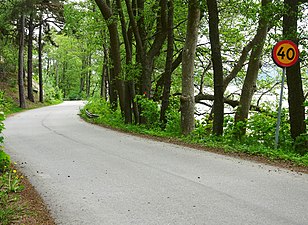 Masmovägen vid Albysjön.