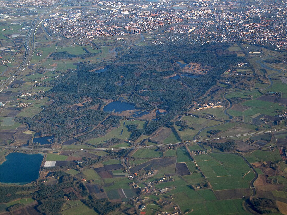 File:Mastbos - Aerial photograph.jpg