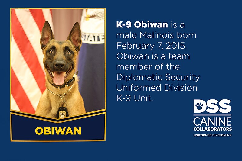 File:Meet K-9 Obiwan (36168896672).jpg