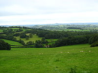 Mendip Hills