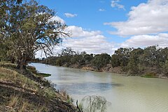 Река дарлинг полноводна. Река Дарлинг в Австралии. Муррей и Дарлинг. Реки Дарлинг и Муррей. Река Муррей в Австралии.