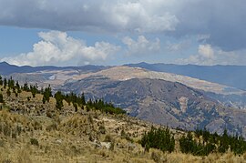 Barrick Company Pierina Mine.jpg