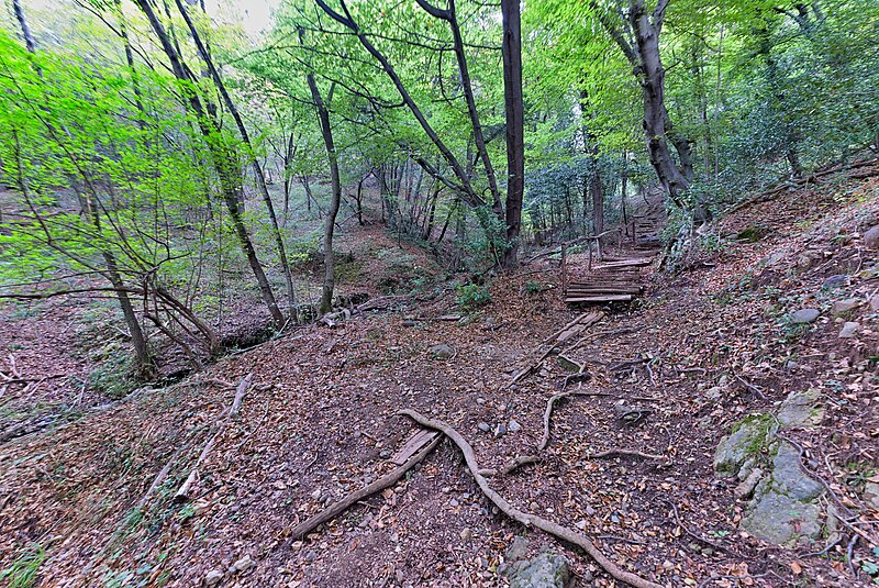 File:Monte San Giorgio world heritage core area in Mendrisio 2022-09-29 33.jpg