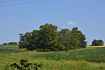 Thumbnail for Mound Hill Archaeological Site