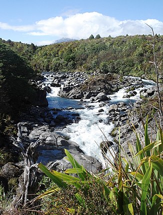 Die Mahuia Rapids