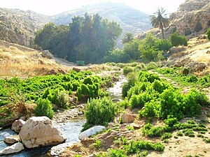 נחל פרת: יובלים, אתרים בנחל, היסטוריה