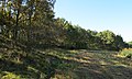 Čeština: Přírodní rezervace Jezero nedaleko Dublovic v okrese Příbram - ČR English: Nature reserve Jezero near Dublovice in Příbram District, Czech Republic