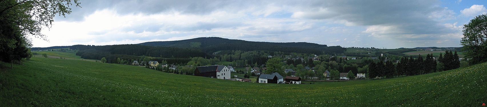 Panorama Neuheide