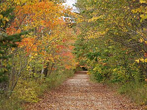 New England Autumn (3983332436) .jpg