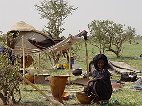 Nomadic woman Niger.jpg
