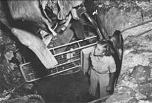 A nurse surveying the kamikaze damage in April 1945. Nurse surveys kamikaze damage on USS Comfort (AH-6) in 1945.jpg