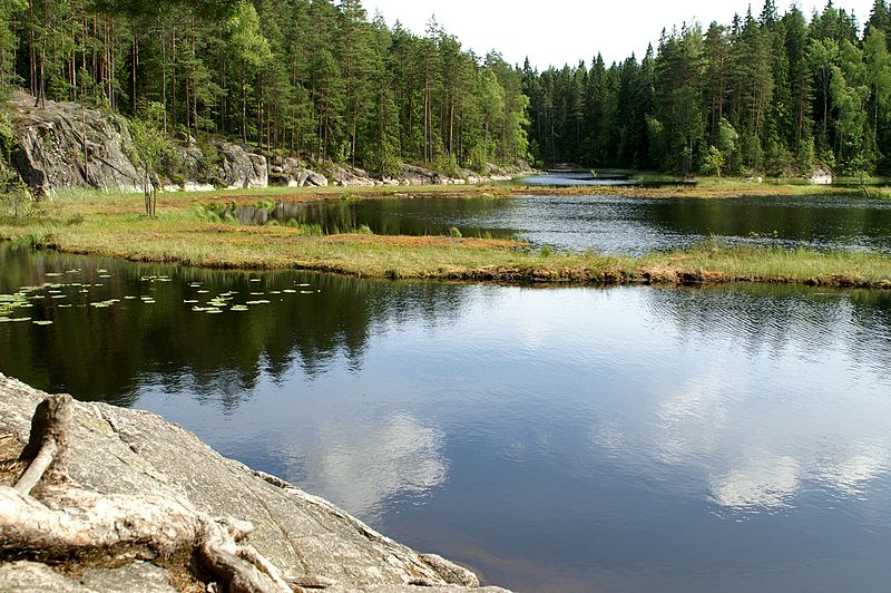 File:Nuuksio peat accumulations.jpg