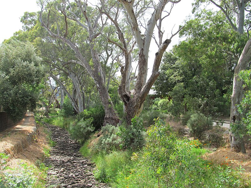 File:OIC rostrevor fourth creek.jpg