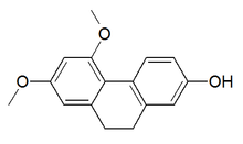 Chemical structure of orchinol