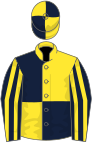Dark blue and yellow (quartered), striped sleeves