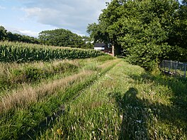 P1030597 timmerweg 29-7-2023.jpg