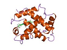 PDB 1vrf EBI.jpg