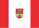 Bandiera di Będzin