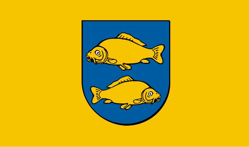 File:POL Krasnystaw flag.svg