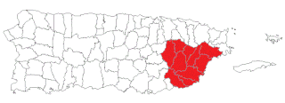 <span class="mw-page-title-main">Puerto Rico Senatorial district VII</span> Profile and election results