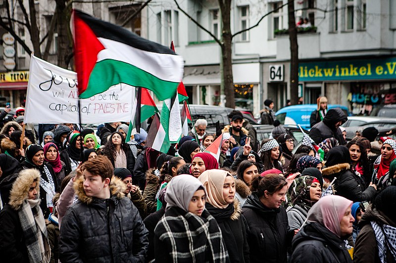 File:Palestine solidarity protest (38102057485).jpg