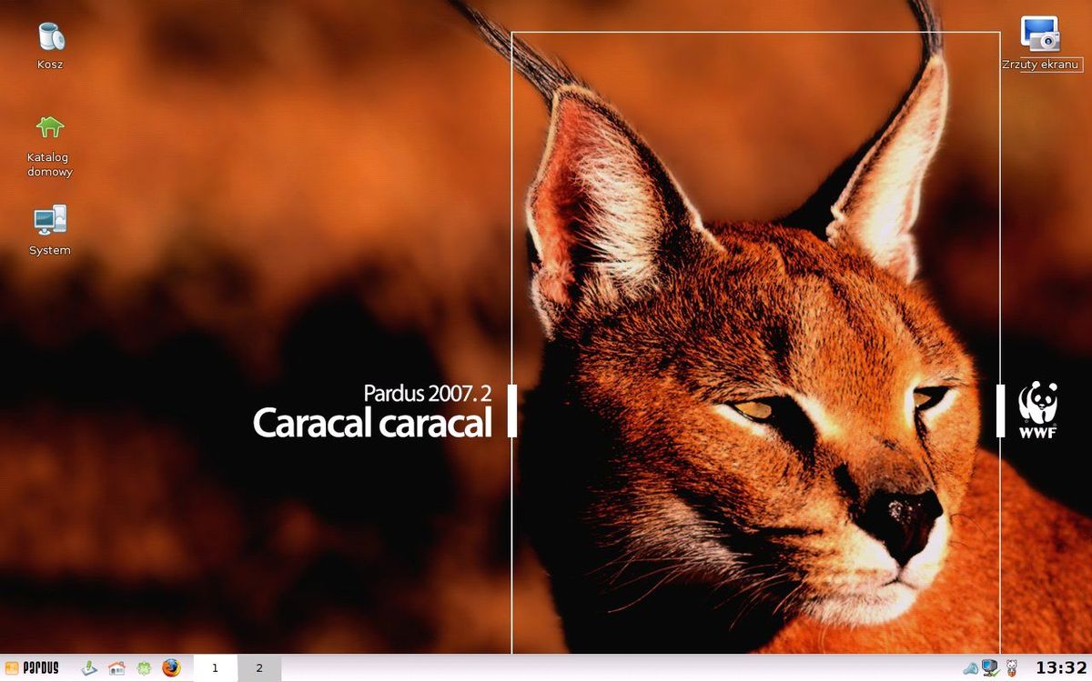 Pardus Caracal