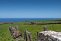 Image 893Pasture fields in the Biscoitos Parish with an ocean backdrop, Terceira Island, Azores, Portugal