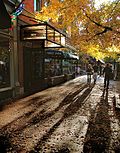 Thumbnail for File:Pearl Street Mall Boulder Colorado USA.jpg