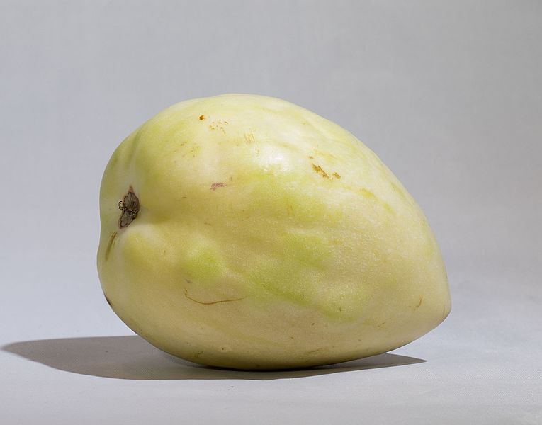 File:Pepino melon.jpg