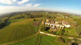 Portes entre deux mers sauvignon