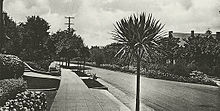 Pijemont Ave1915.jpg