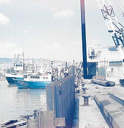 בניית קיר שיגומים במהלך חידוש רציף נמל הדייג, 1991.