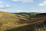 Thumbnail for File:Pine Clearing - geograph.org.uk - 4120138.jpg