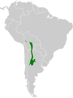 Distribución geográfica del sietevestidos serrano.