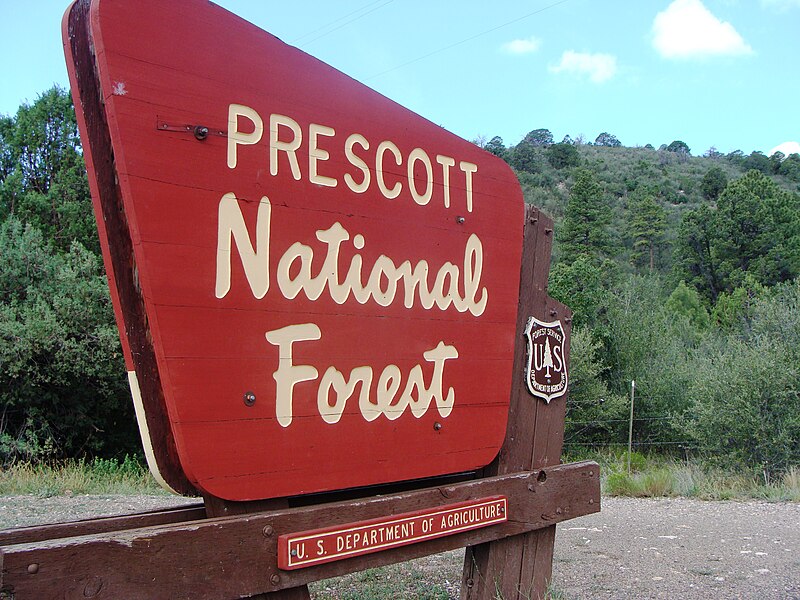 File:Prescott Natl Forest Nima2.JPG