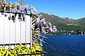 * Nomination The Colours of spring in Como lake --LunaLinda 16:04, 10 October 2016 (UTC) * Decline  Oppose overexposed --Christian Ferrer 07:31, 11 October 2016 (UTC)