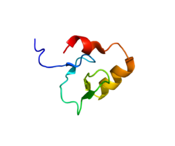 Ақуыз RCHY1 PDB 2JRJ.png