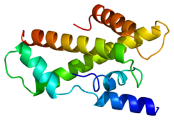 Ақуыз TAF11 PDB 1bh8.png