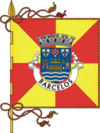 Drapeau de Barcelos