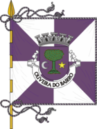 Flagge von Oliveira do Bairro