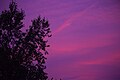 Purple sunsets