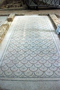 Mosaico de escamas imbricadas