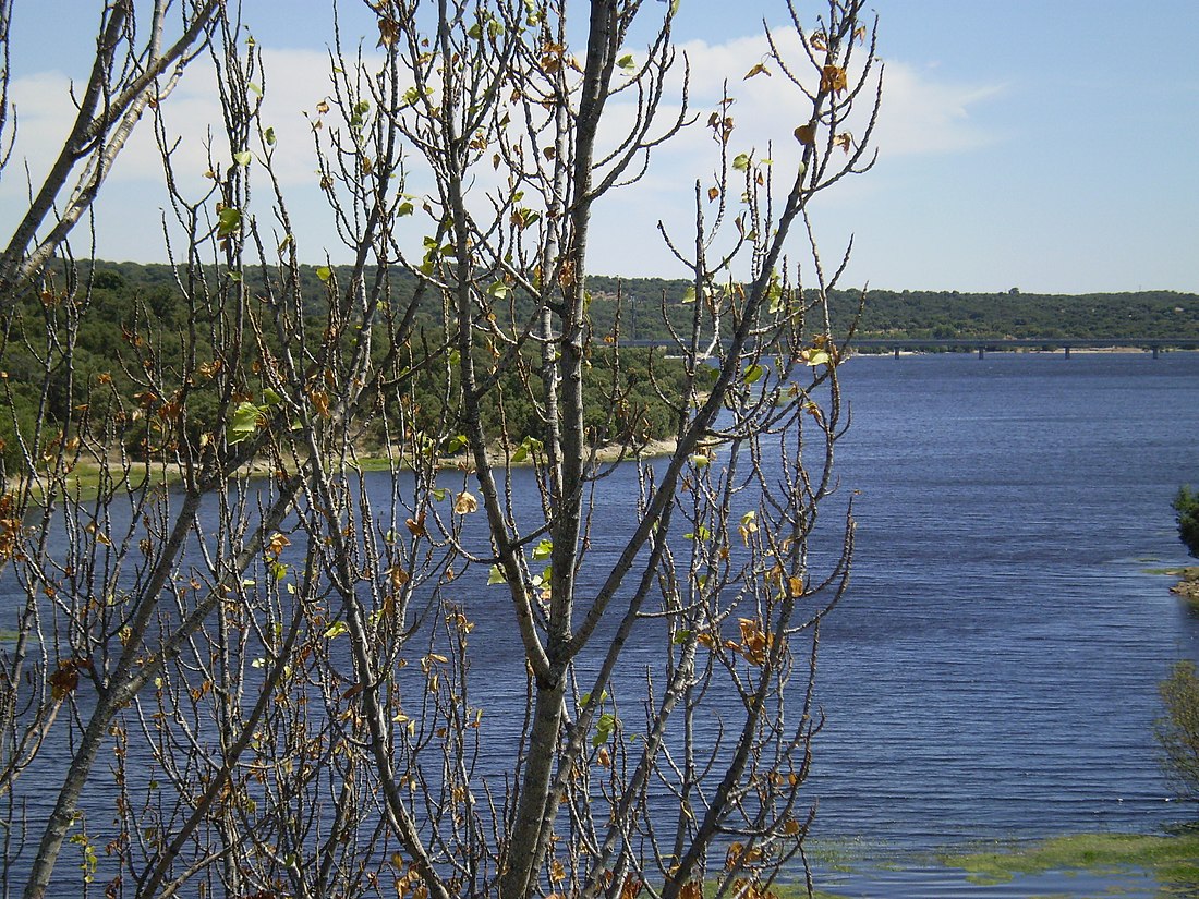 Río Aulencia