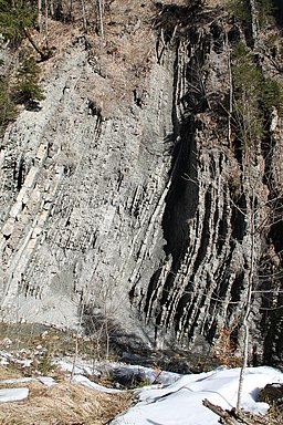 Röthenbach Flysch