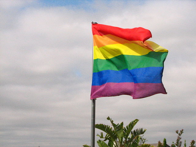 640px-Rainbow_flag_flapping_in_the_wind.jpg (640×480)