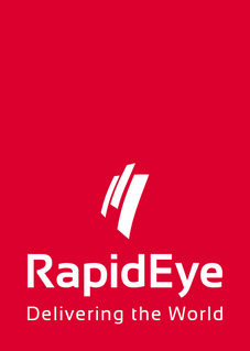 RapidEye company